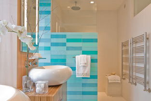 衛(wèi)生間隔斷材料有哪些